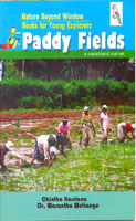 Nature Beyond Window Books for Young Explorers : Paddy Fields